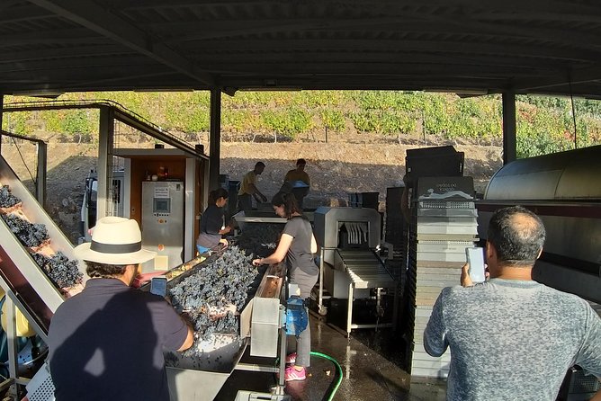Private Tour to the Rock Art of Côa Park, Pinhão and Winery - Pricing and Extras