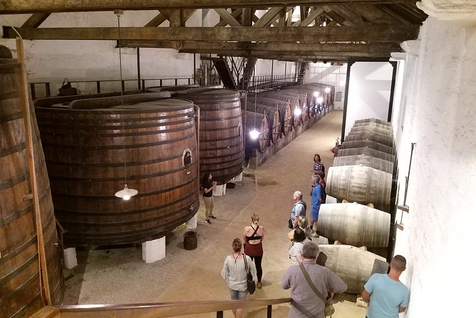Private Tour to the Rock Art of Côa Park, Pinhão and Winery - Visiting Pinhão