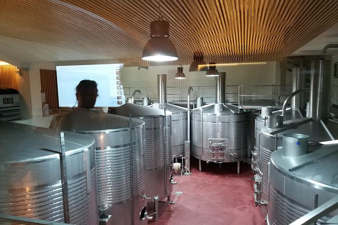 Private Tour to the Rock Art of Côa Park, Pinhão and Winery - Winery Experience