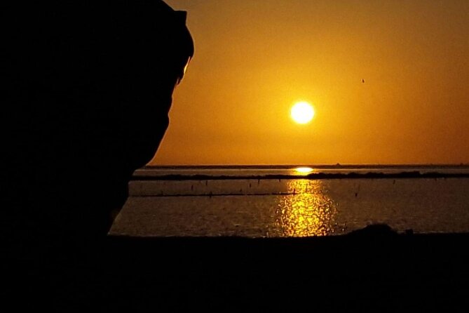 Private Tour to the Salt Pans of Trapani - Understanding the Cultural Heritage of Salt