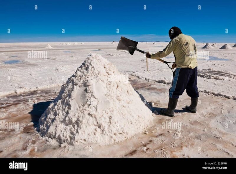 Private Tour to the Uyuni Salt Flats - Highlights and Experiences