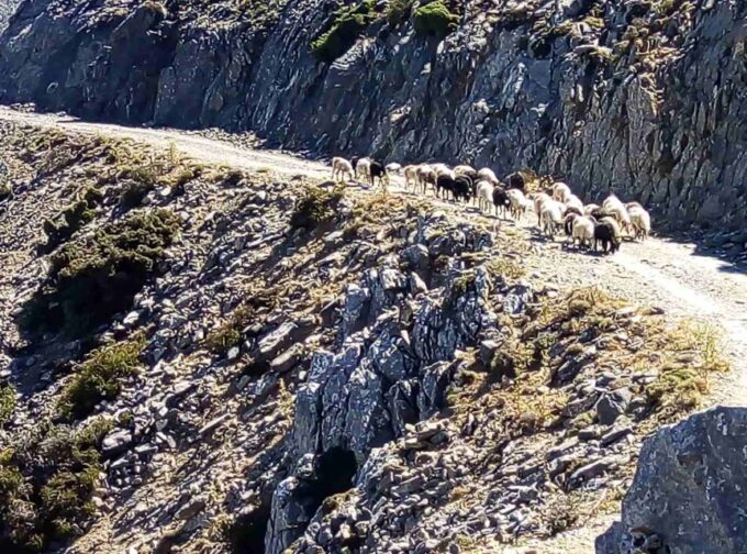 Private Tour to the White Mountains & Samaria From Above - Frequently Asked Questions