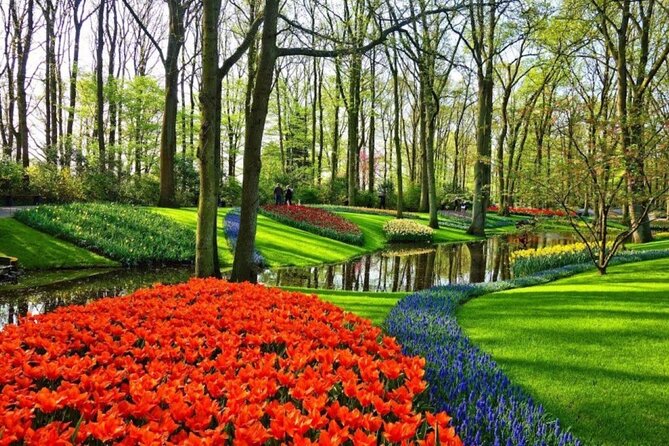 Private Tour to Tulips, Keukenhof, Windmills & Cheese Farm - Tulip Viewing