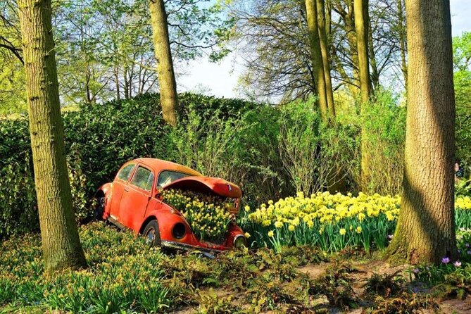 Private Tour to Tulips, Keukenhof, Windmills & Cheese Farm - Cheese Farm Visit