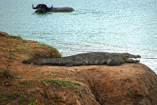 Private Tour to Udawalawe National Park - Refreshments Included