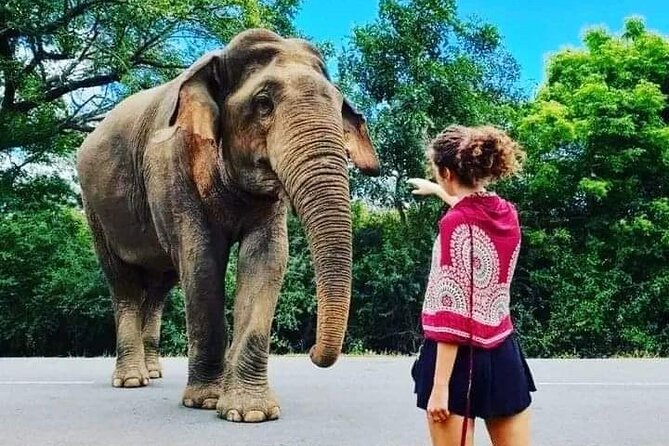 Private Tour to Udawalawe National Park - Diverse Wildlife Encounters