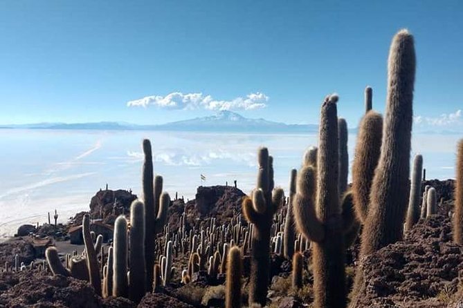 Private Tour to Uyuni Salt Flats With Pick up From Hotels in Colchani - Additional Information