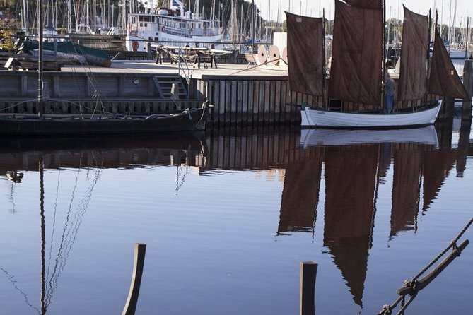 Private Tour to Vikings City Roskilde From Copenhagen - Professional Guiding Services