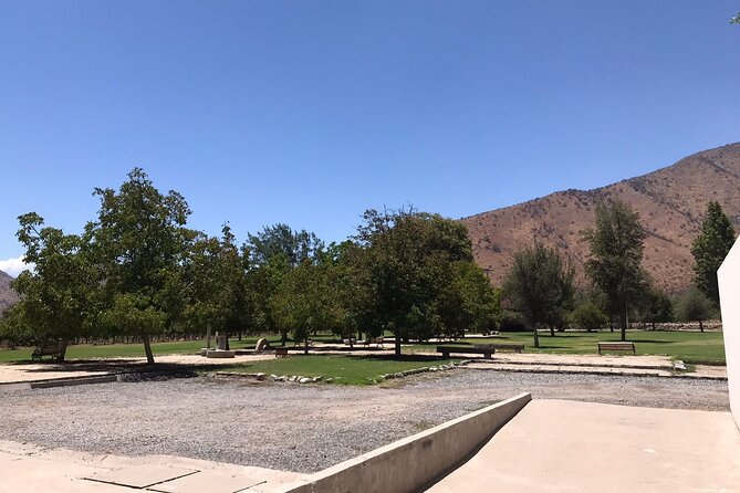 Private Tour to Viña Santa Rita - Accessibility and Participation
