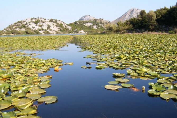 Private Tour to Virpazar Fishing Village & Amazing Skadar Lake - Tour Details