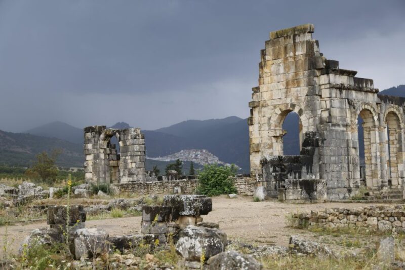 Private Tour: to Volubilis /Moulay Idriss /Meknes From Fes - Transportation and Driver
