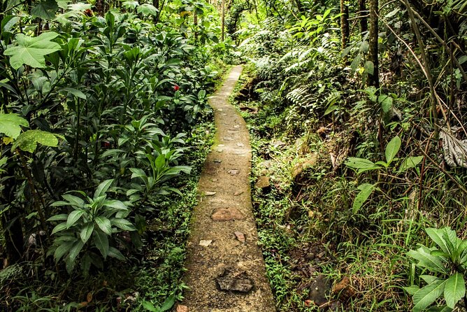 Private Tour to Waterfall in Puerto Rico - Cancellation and Payment Policy