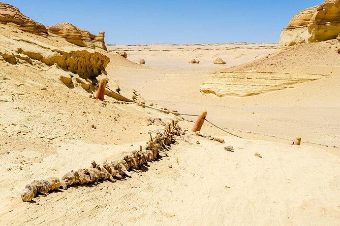 Private Tour to Whales Valley & Wadi El Rayan Waterfalls in El Fayoum From Cairo - Tour Duration and Itinerary