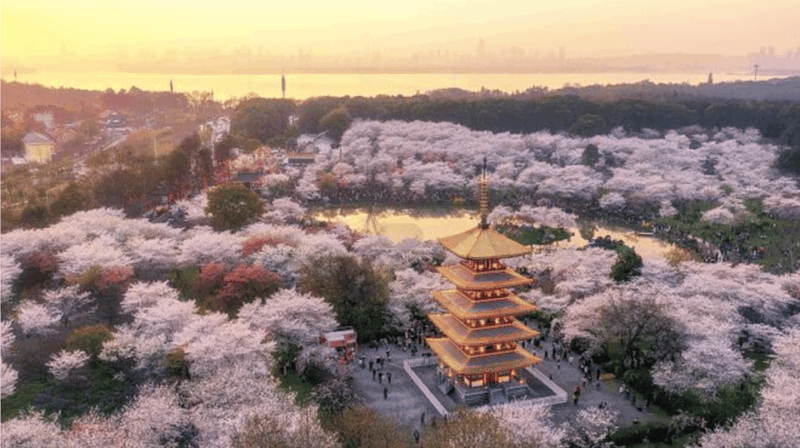 Private Tour to Wuhan Yellow Crane Tower &East Lake by Ferry - Itinerary Highlights