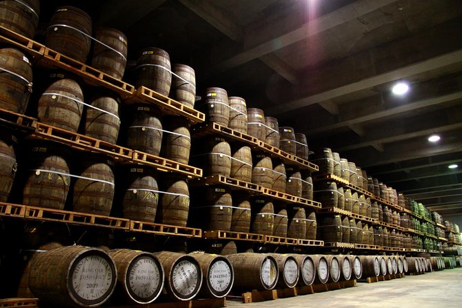 Private Tour to Yilan Kavalan Whisky Distillery - Tour Experience and Feedback