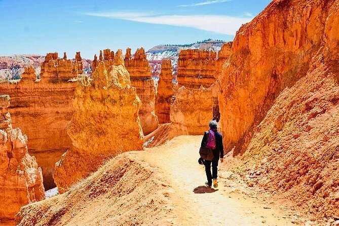 Private Tour to Zion National Park From Las Vegas - Tour Overview