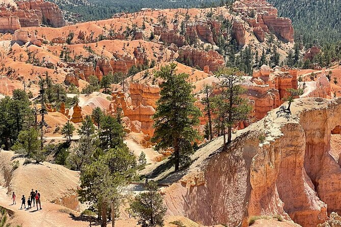 Private Tour to Zion National Park From Las Vegas - Accessibility and Participation