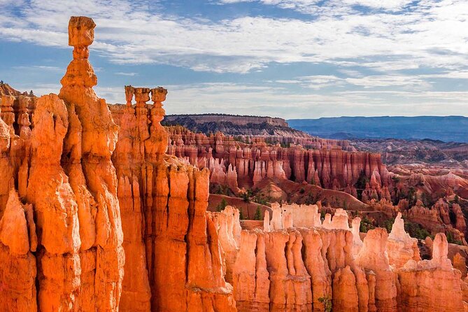 Private Tour to Zion National Park From Las Vegas - Customer Feedback