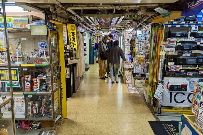 Private Tour Tokyo Otaku Visit Places on Anime and Manga - Accessibility and Participation