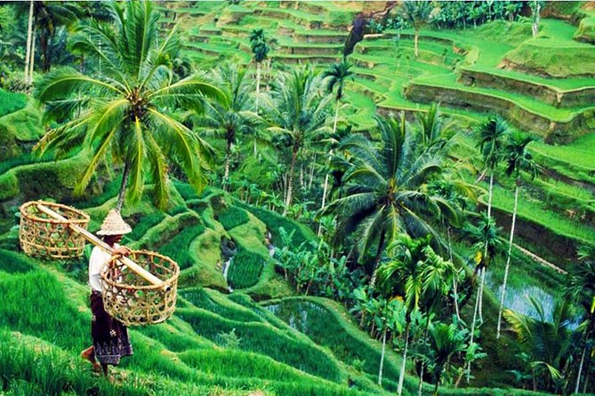 Private Tour Top Sights of Bali in One Day - Booking and Cancellation Policy