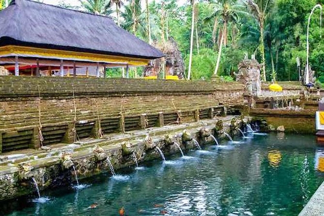 Private Tour Top Sights of Bali in One Day - Customer Reviews and Feedback
