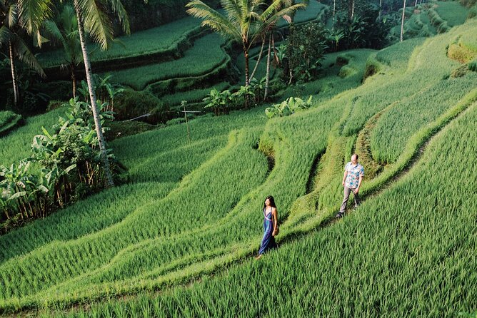 Private Tour Top Sights of Bali in One Day - Cultural Attractions in Bali