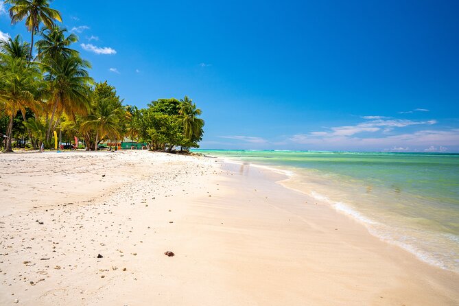 Private Tour Trinidad Northern Eco Cultural From Port of Spain - Inclusions and Exclusions