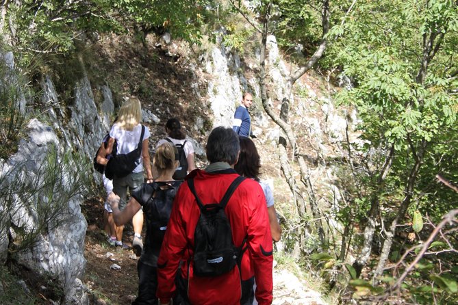 Private Tour: Truffle-Hunting Experience From Naples With Lunch - Tour Overview