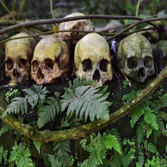 Private Tour Trunyan Village Skulls Island in Bali - Key Points