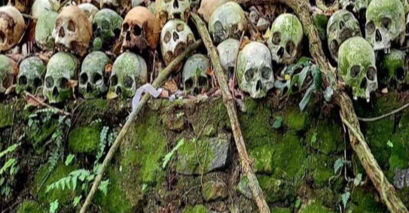 Private Tour Trunyan Village Skulls Island in Bali - Experience Highlights