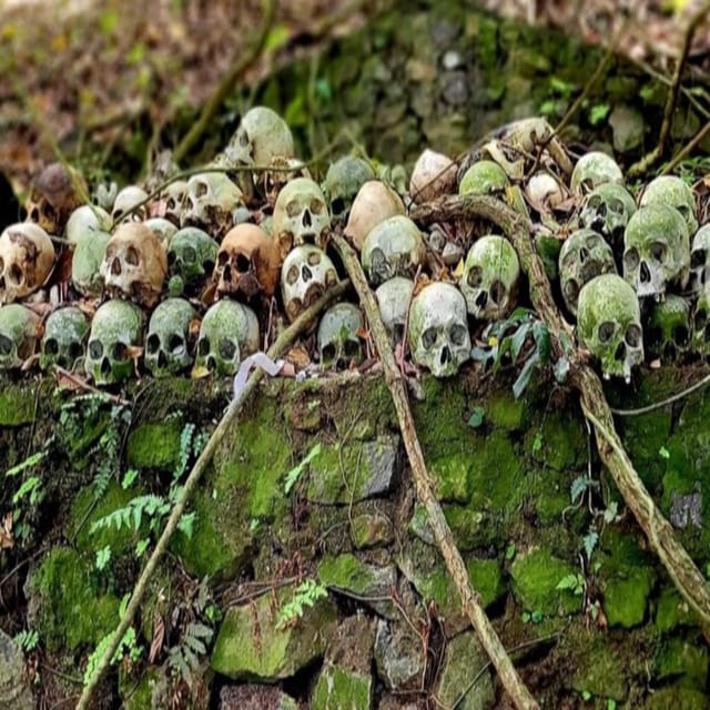 Private Tour Trunyan Village Skulls Island in Bali - Inclusions