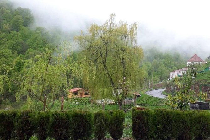 Private Tour: Tsaghkadzor, Lake Sevan, Sevanavank, Dilijan, Haghartsin Monastery - Private Tour Experience