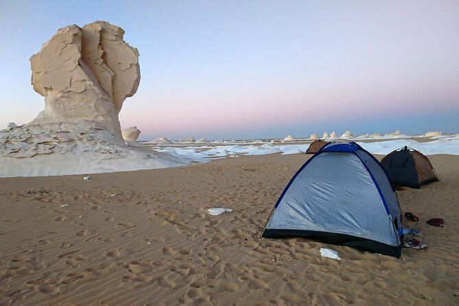 Private Tour: Two Days, One Night in the Black and White Desert - Dietary Considerations
