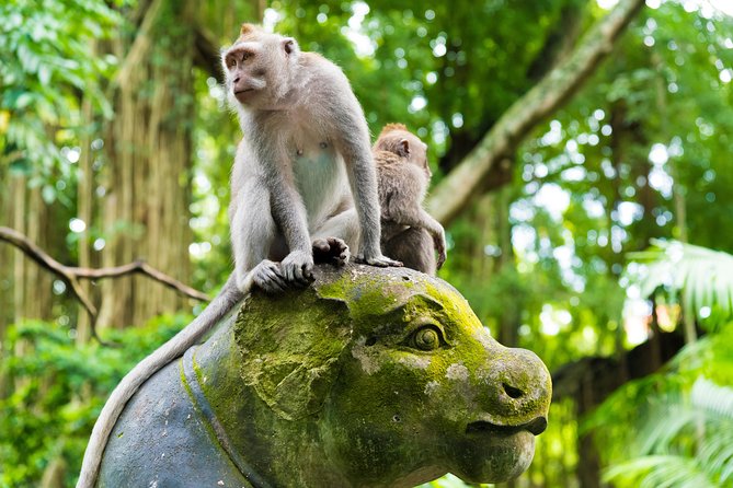Private Tour: Ubud Highlights - Mas Village Discovery