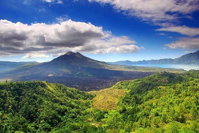 Private Tour - Ubud Kintamani Tours - Transportation and Inclusions