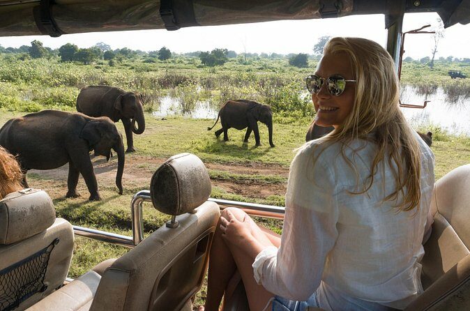 Private Tour: Udawalawe National Park Safari - Timing and Duration: What Fits Best?