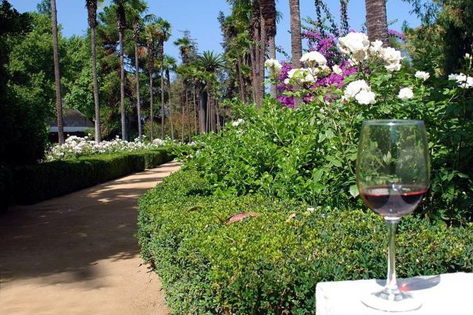Private Tour: Undurraga Vineyard Experience With Premium Wine Tasting - Recap