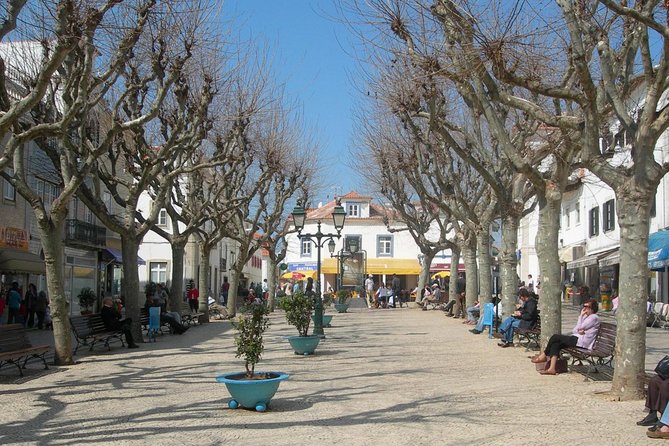 PRIVATE TOUR UNESCO Mafra Palace & Ericeira World Surfing Reserve - Meeting and Pickup