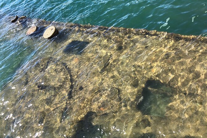 Private Tour USS Arizona Park & Custom Tour - Transportation Options