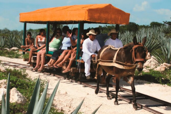 Private Tour: Uxmal & Hacienda Sotuta De Peon by Yucatan Concierge - Cancellation Policy