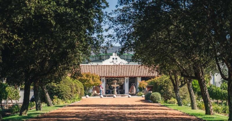 Private Tour Valparaiso & Casablanca Valley - Experience and Personalization