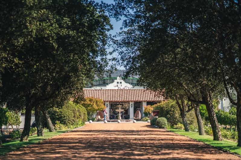 Private Tour Valparaiso & Casablanca Valley - Key Points