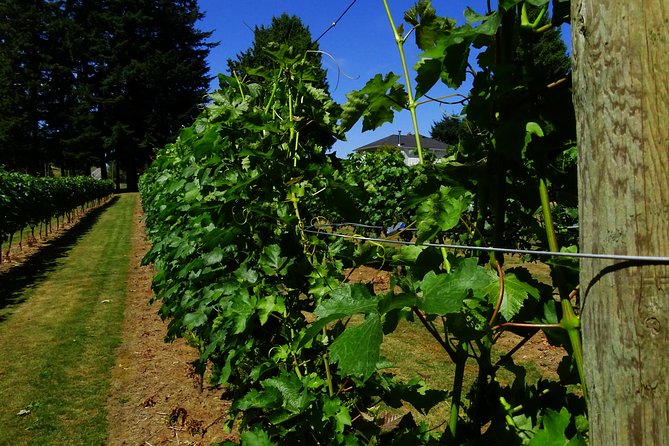 Private Tour: Vancouver Half Day Wine Tasting Tour - Inclusions and Exclusions