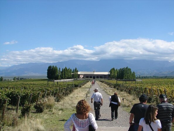 Private Tour Vinicola Salentein + La Azul With Lunch. Transport - Key Points