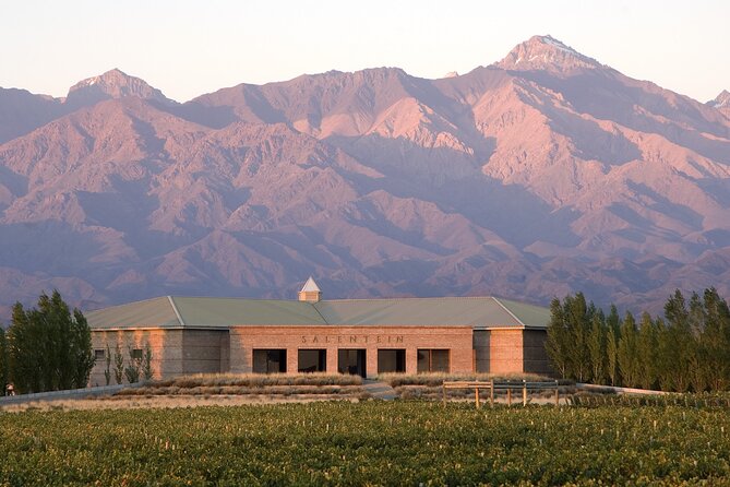 Private Tour Vinicola Salentein + La Azul With Lunch. Transport - Winery Experiences