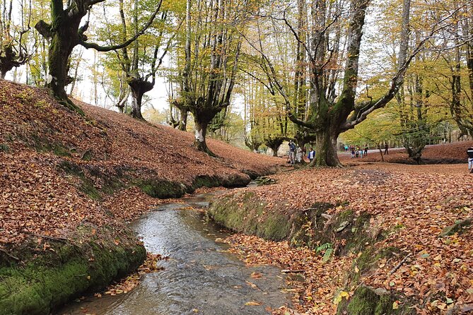 Private Tour Visiting Villages, Forests and Valleys in Biscay - Tour Overview