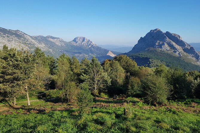 Private Tour Visiting Villages, Forests and Valleys in Biscay - Hayedo De Otzarreta
