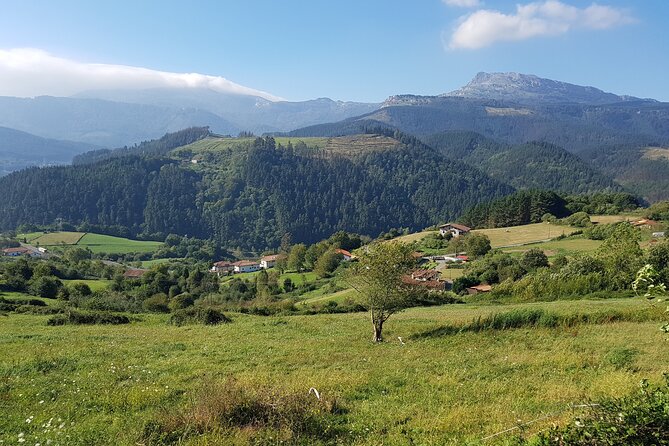Private Tour Visiting Villages, Forests and Valleys in Biscay - Traveler Experience