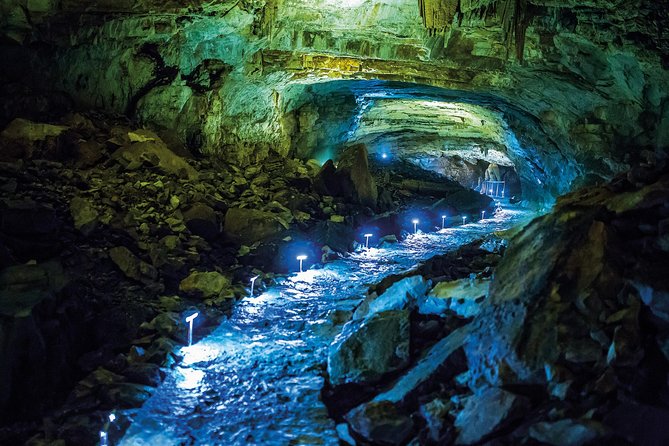 Private Tour: Vjetrenica Cave Day Trip From Dubrovnik - Pricing and Booking