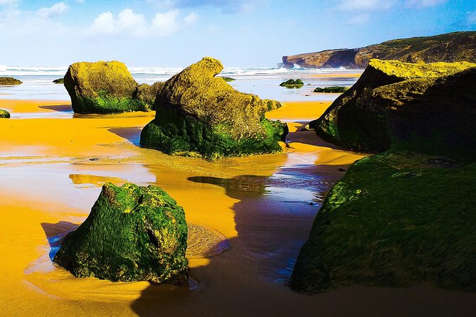 Private Tour West Coast Full Day - Key Attractions